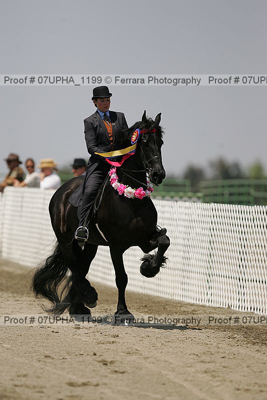 Proof Number 07upha_1199