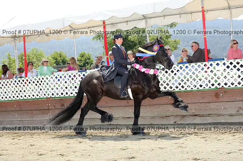 Proof Number 07upha_1200