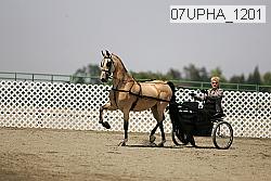 07upha_1201 thumbnail