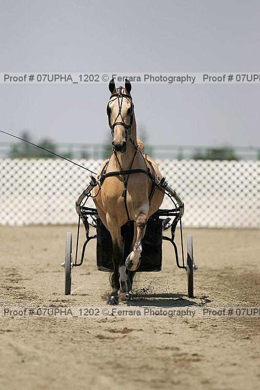 Proof Number 07upha_1202