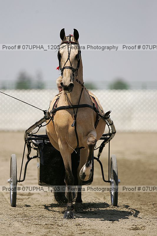 Proof Number 07upha_1203