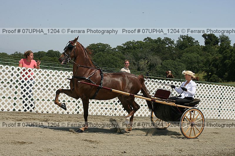 Proof Number 07upha_1204