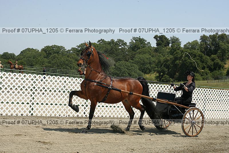 Proof Number 07upha_1205