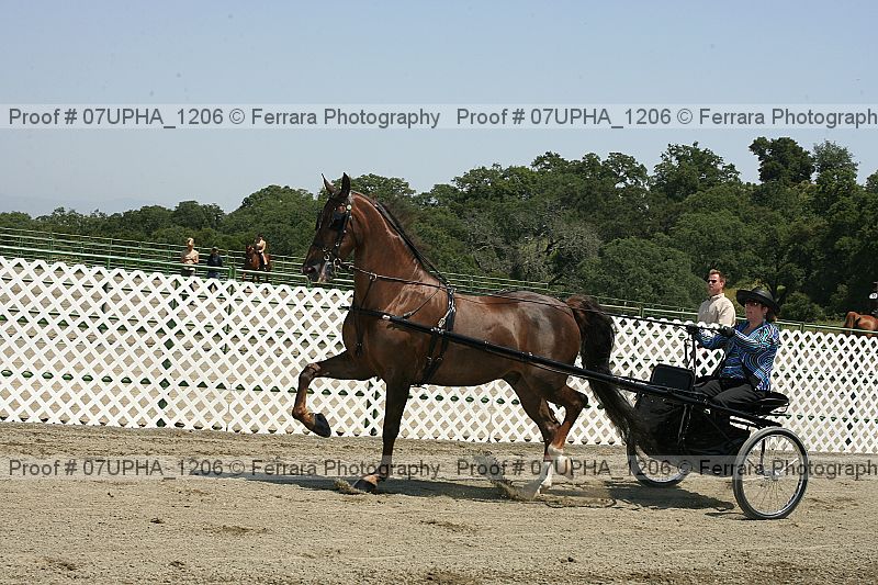 Proof Number 07upha_1206