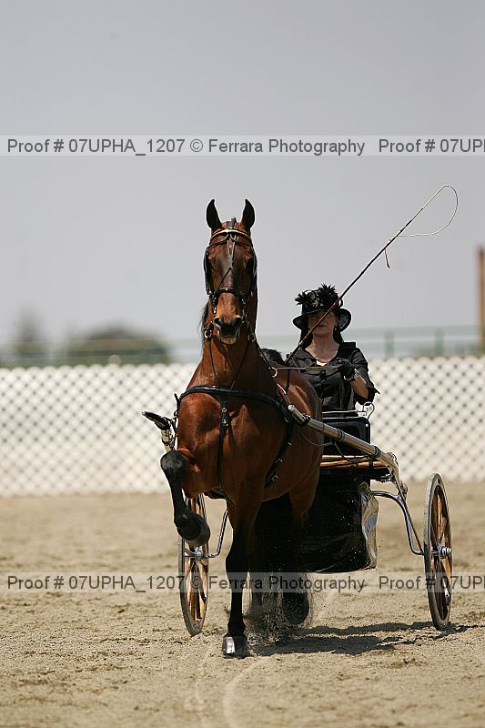 Proof Number 07upha_1207