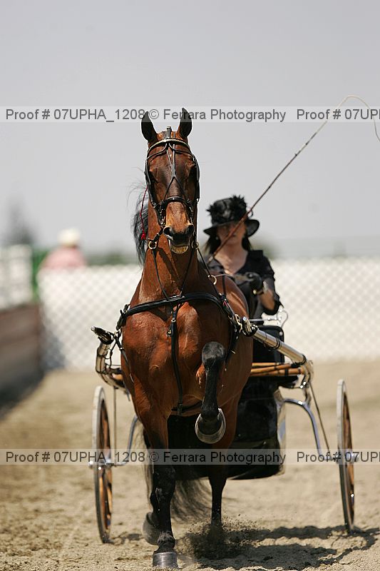 Proof Number 07upha_1208