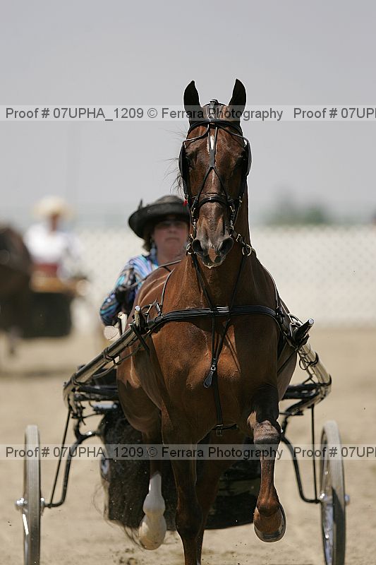 Proof Number 07upha_1209