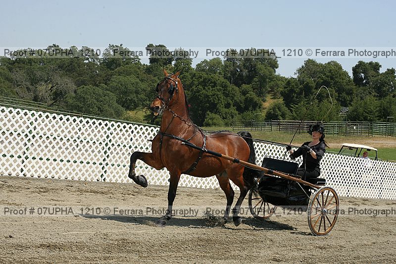 Proof Number 07upha_1210