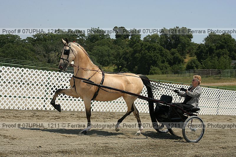 Proof Number 07upha_1211