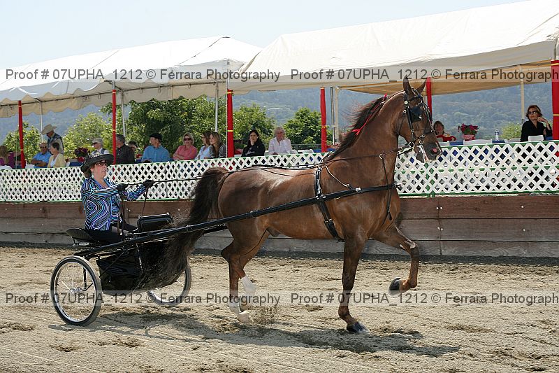 Proof Number 07upha_1212