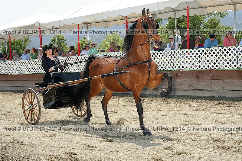Proof Number 07upha_1214