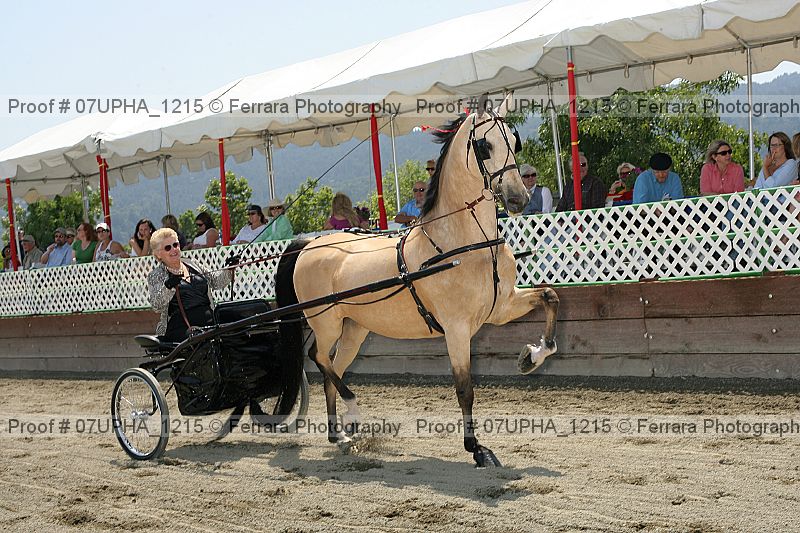 Proof Number 07upha_1215