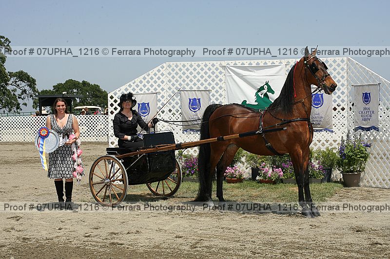 Proof Number 07upha_1216