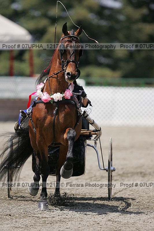 Proof Number 07upha_1217