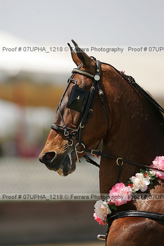Proof Number 07upha_1218
