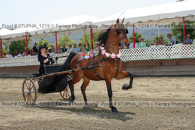 Proof Number 07upha_1219