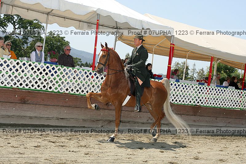 Proof Number 07upha_1223