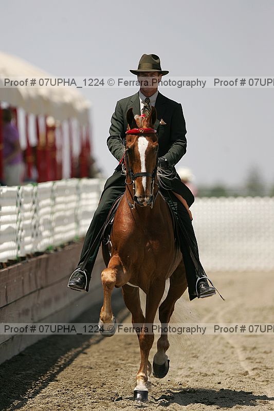 Proof Number 07upha_1224