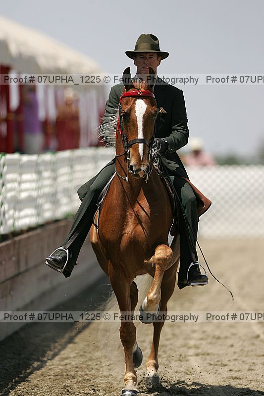 Proof Number 07upha_1225