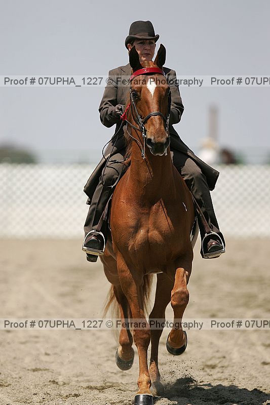 Proof Number 07upha_1227