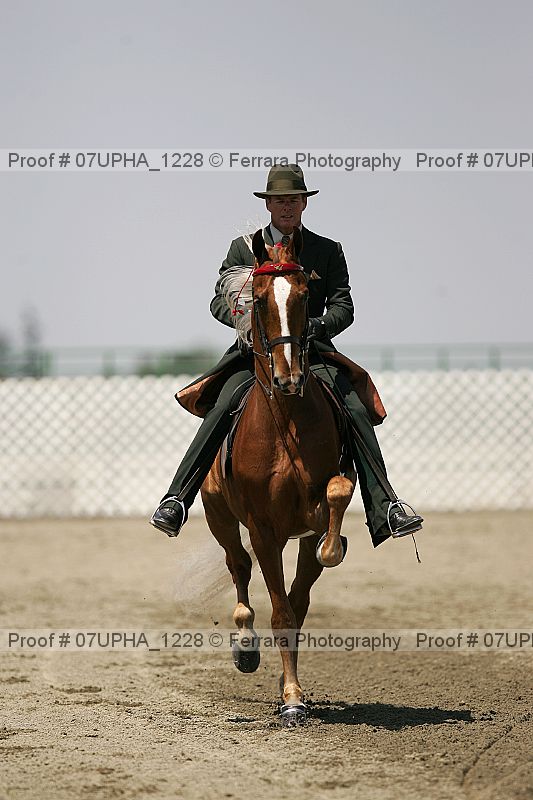 Proof Number 07upha_1228