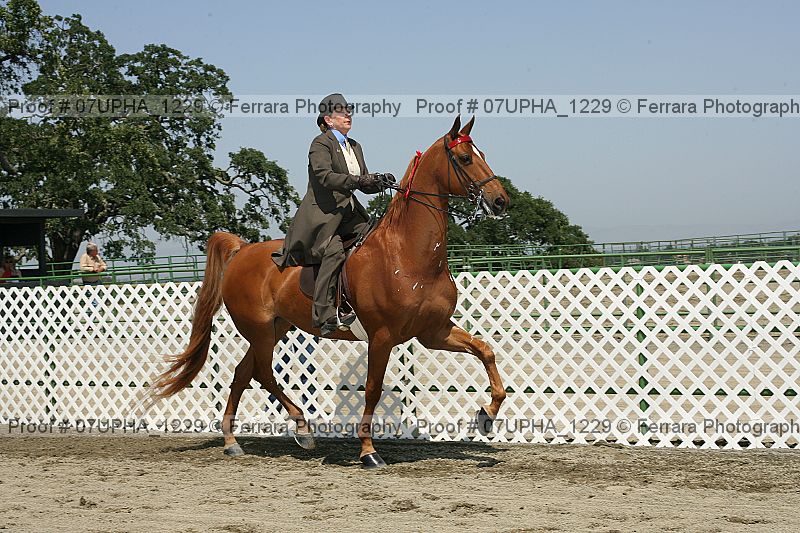 Proof Number 07upha_1229