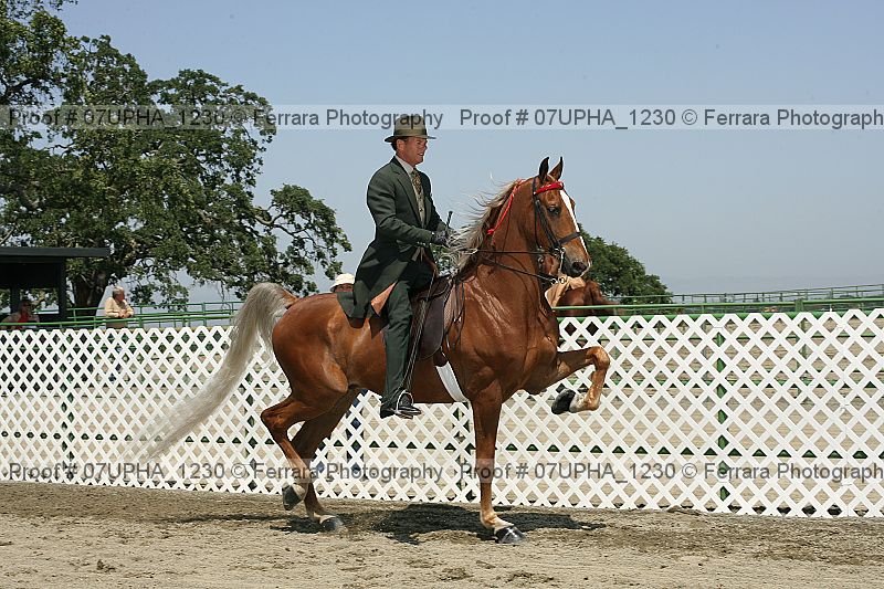 Proof Number 07upha_1230