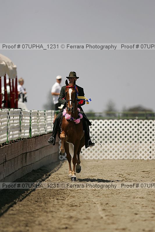Proof Number 07upha_1231