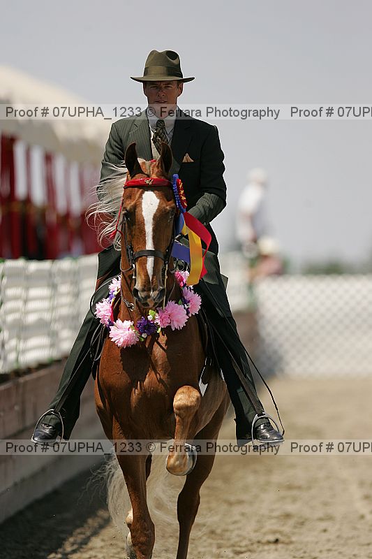 Proof Number 07upha_1233