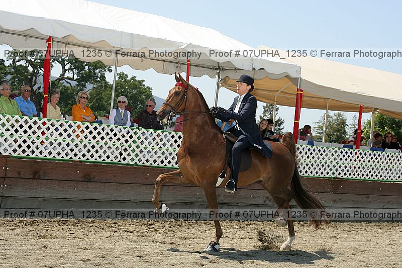 Proof Number 07upha_1235