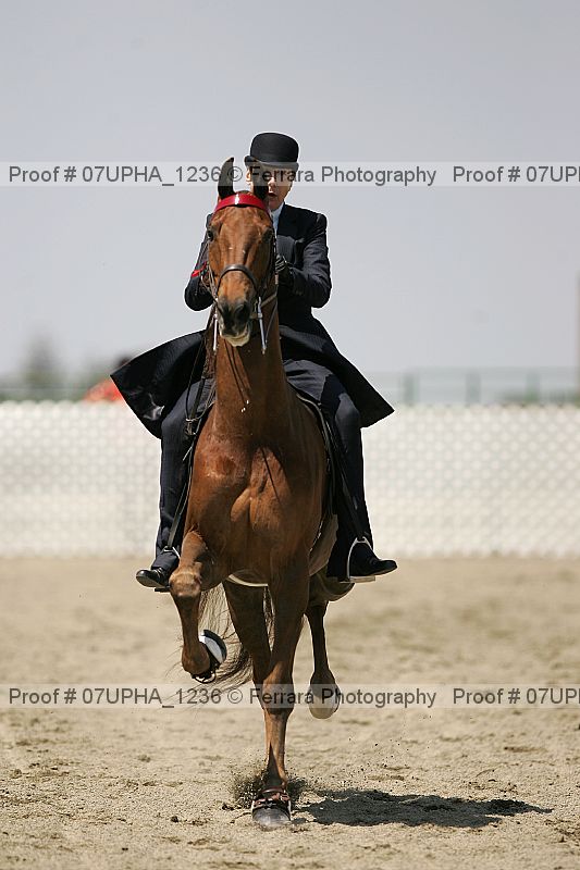 Proof Number 07upha_1236