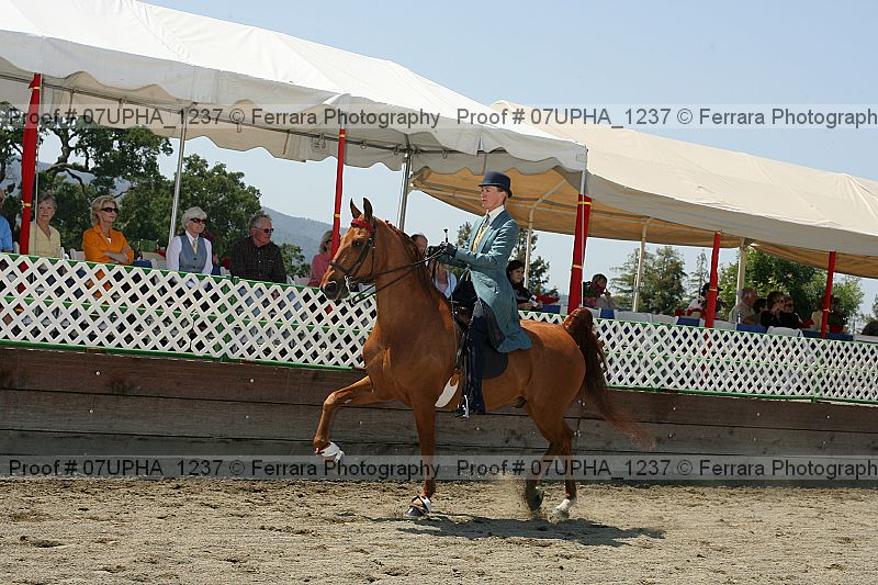 Proof Number 07upha_1237