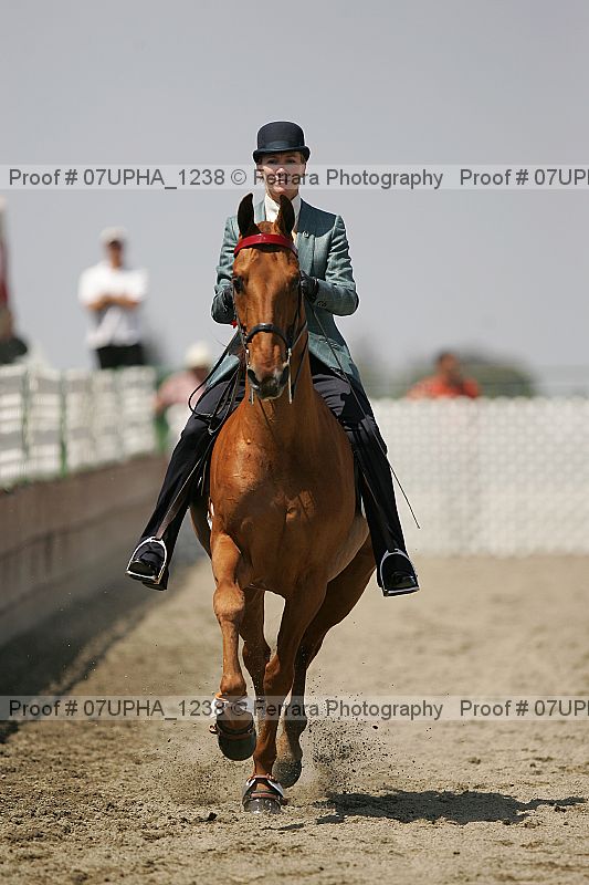 Proof Number 07upha_1238