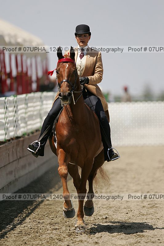 Proof Number 07upha_1240