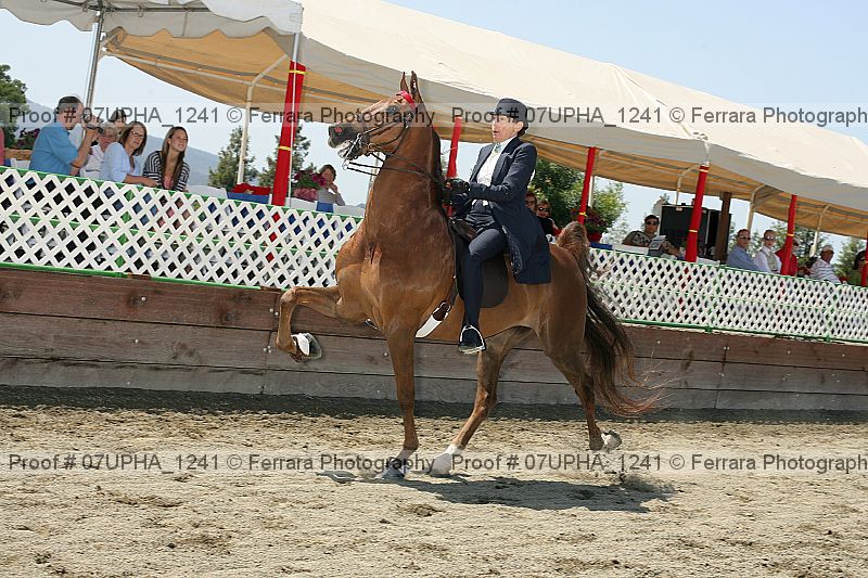 Proof Number 07upha_1241