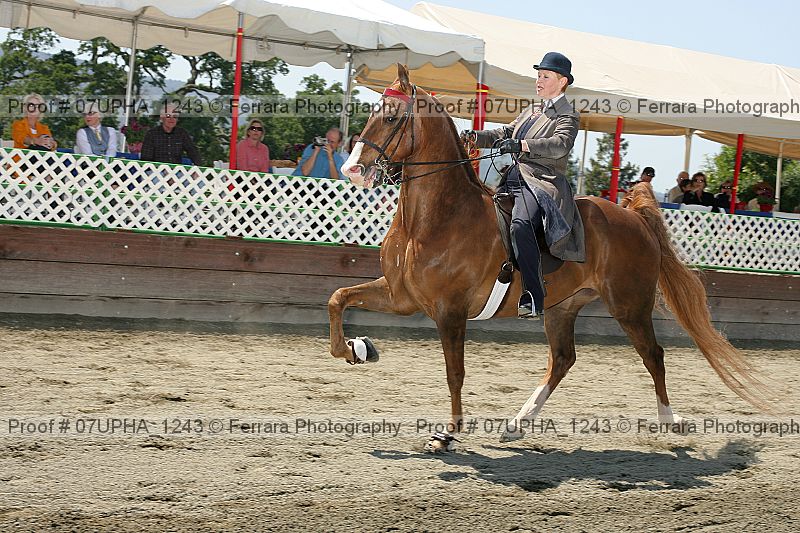 Proof Number 07upha_1243