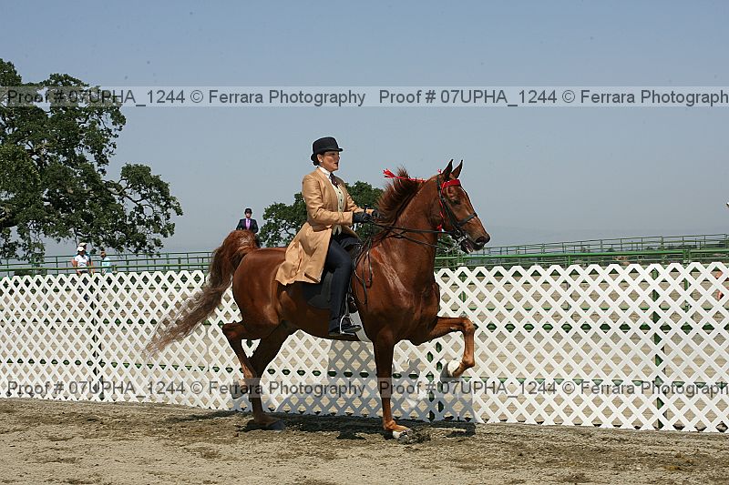 Proof Number 07upha_1244