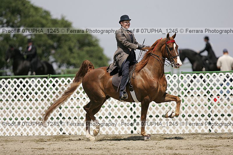 Proof Number 07upha_1245