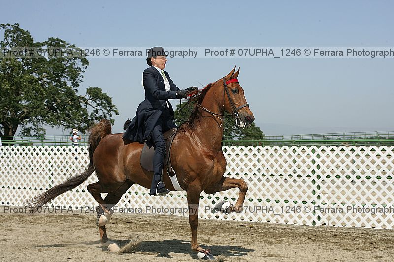 Proof Number 07upha_1246