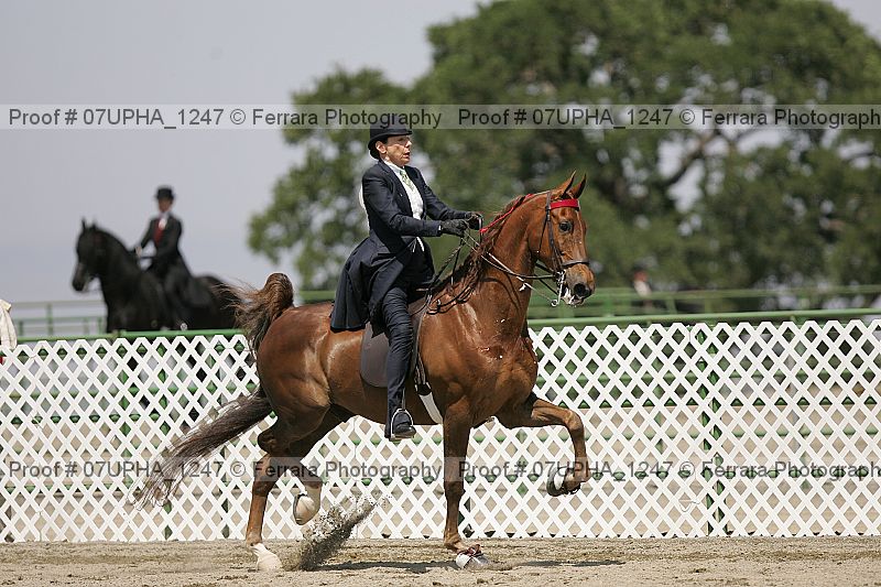 Proof Number 07upha_1247