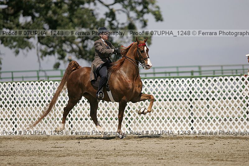 Proof Number 07upha_1248