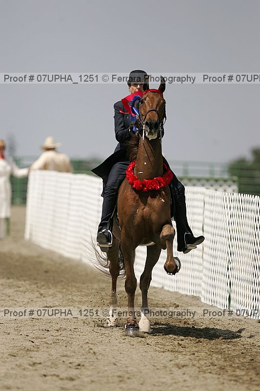 Proof Number 07upha_1251