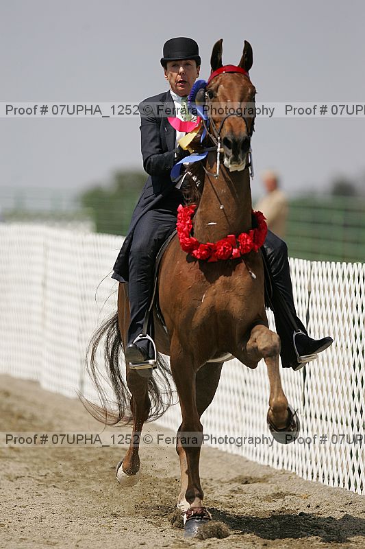 Proof Number 07upha_1252