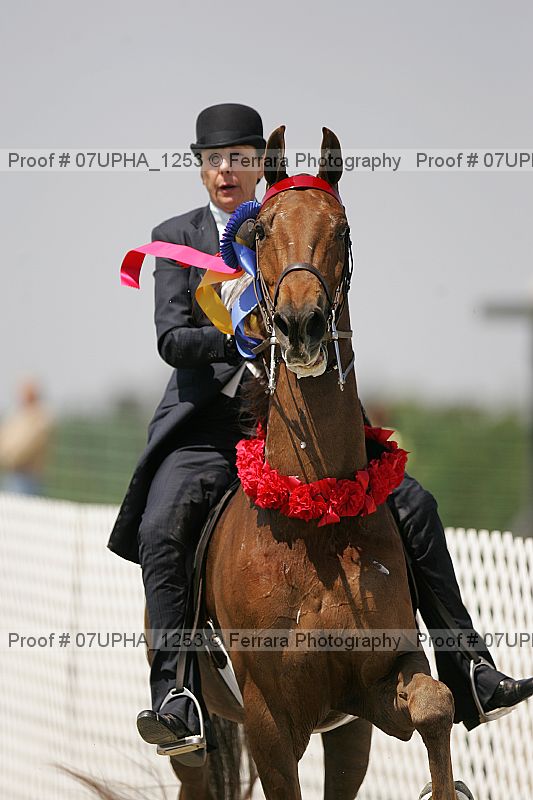 Proof Number 07upha_1253