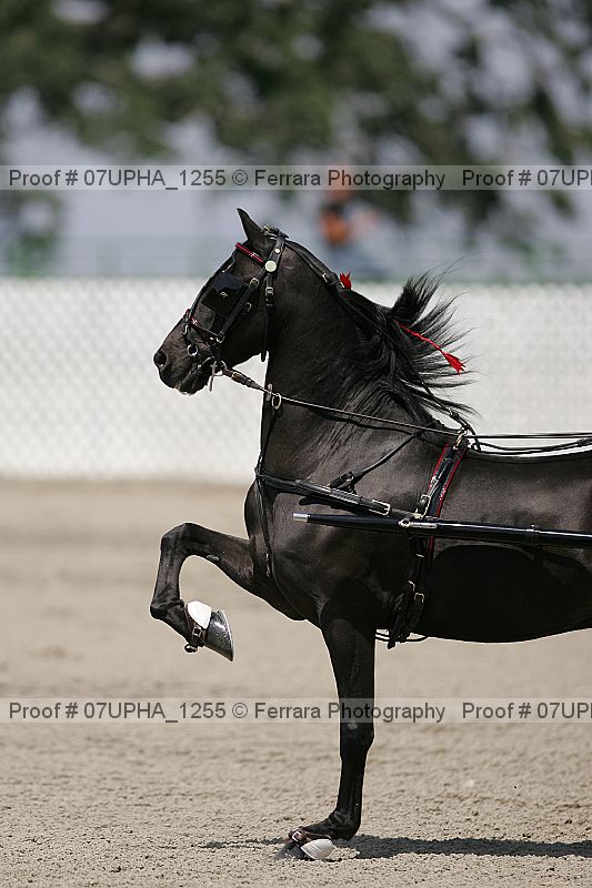 Proof Number 07upha_1255