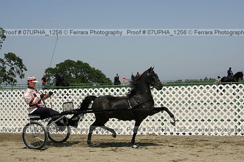 Proof Number 07upha_1256