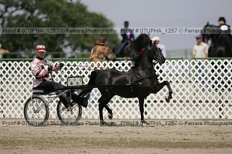 Proof Number 07upha_1257