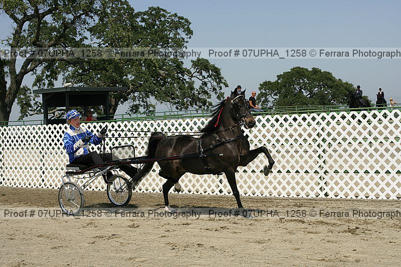 Proof Number 07upha_1258