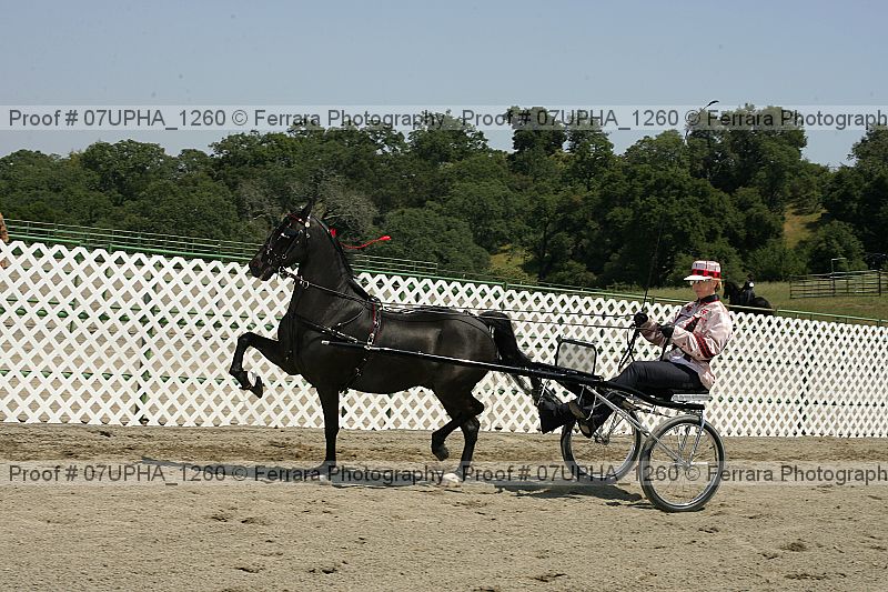 Proof Number 07upha_1260