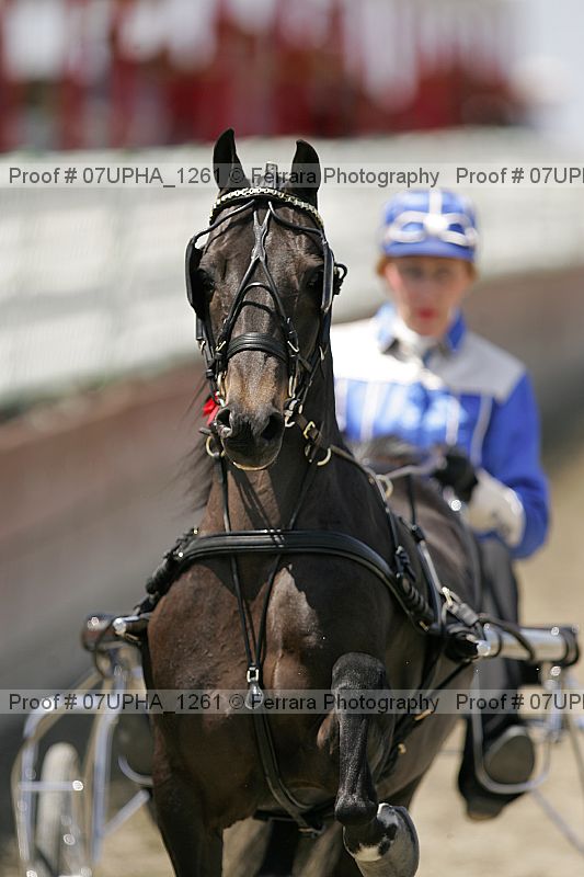 Proof Number 07upha_1261